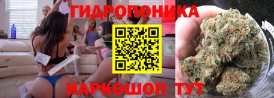 экстази Гай
