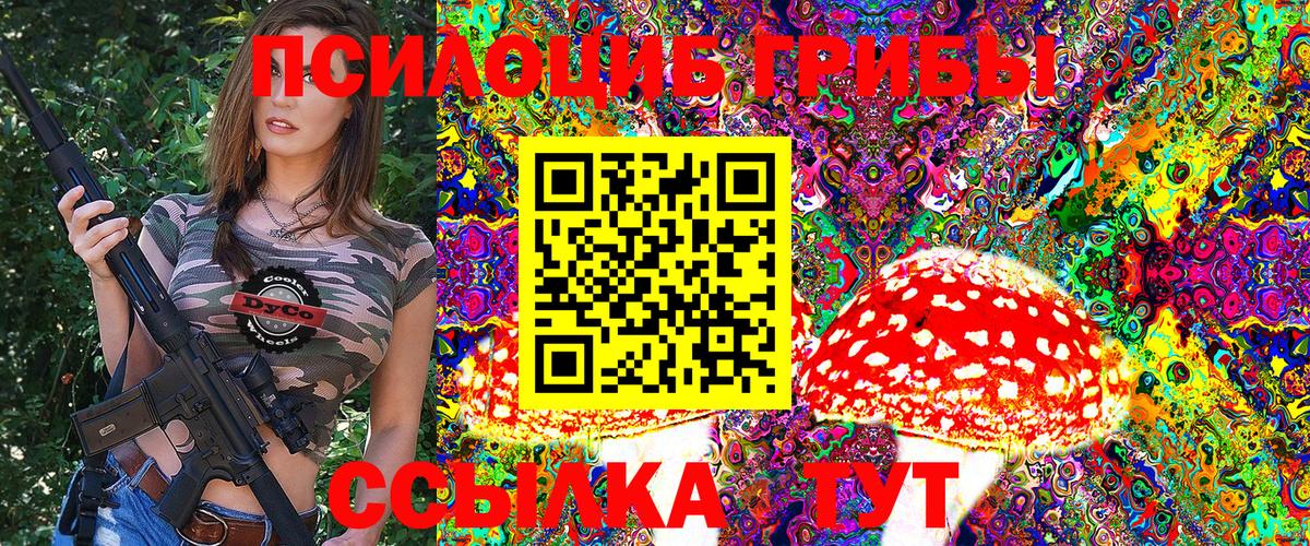Псилоцибиновые грибы Psilocybe Мичуринск